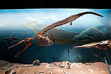 《女神异闻录3：Reload》从开始就没有Switch版