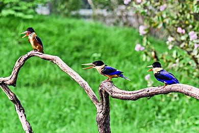 前《孤岛惊魂》主创批评称Switch2密钥卡“乏味”